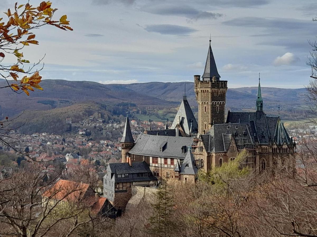 Hohegeiß Hotel Silbertanne المظهر الخارجي الصورة